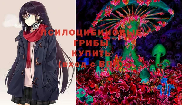 амф Киреевск