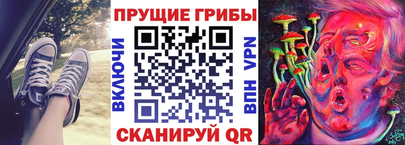 Псилоцибиновые грибы GOLDEN TEACHER Купить Рассказово